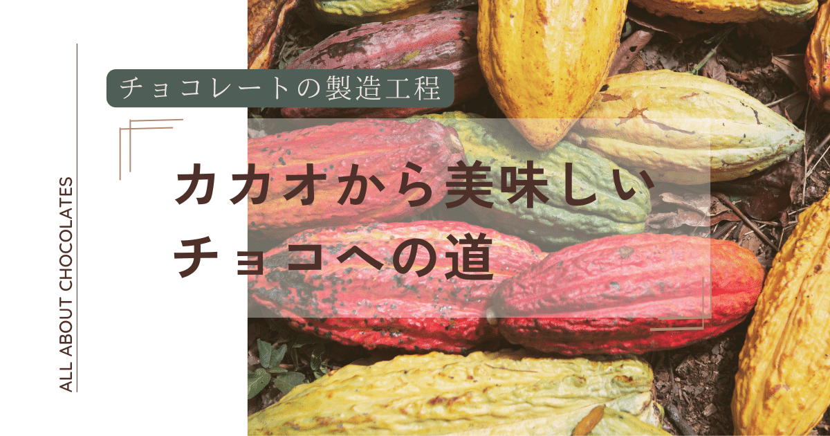 チョコレートの製造工程　カカオから美味しいチョコへの道